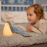 Shnuggle Moonlight Nightlight and Room Thermometer