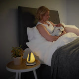 Shnuggle Moonlight Nightlight and Room Thermometer