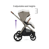 Silver Cross Cove - Accessory Bundle - Champagne
