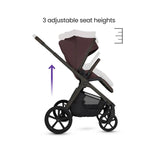 Silver Cross Cove - Accessory Bundle - Damson