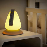 Shnuggle Moonlight Nightlight and Room Thermometer